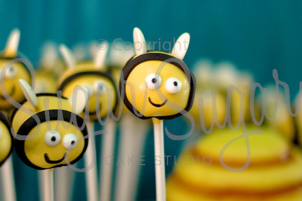 Bee Cake Pops - detail (Photo Credit: SSCS)